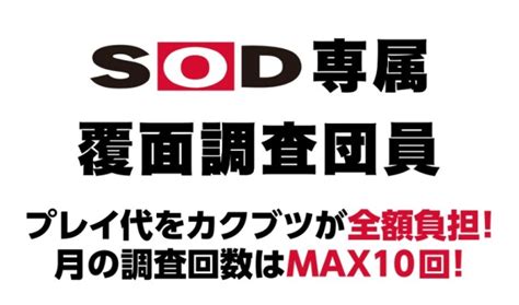 かくぶつ風俗|カクブツの新人チェックを1年体験した結果：風俗覆面調査モニ。